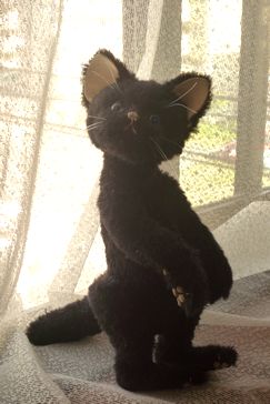 黒猫見上げる