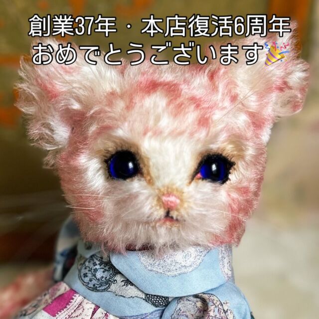 テディキャット - ジェリーベア