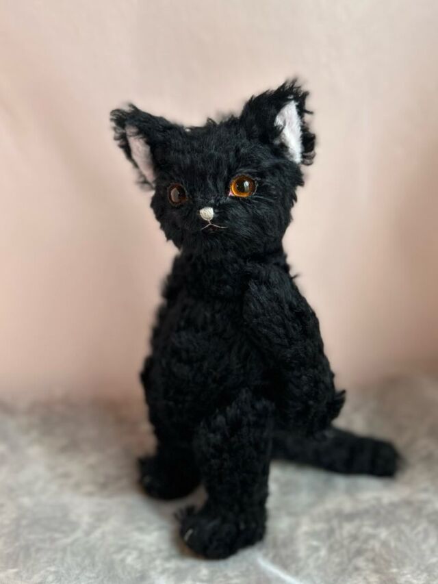 テディキャット - ジェリーベア