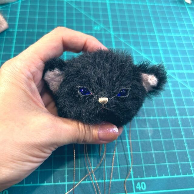 テディキャット - ジェリーベア