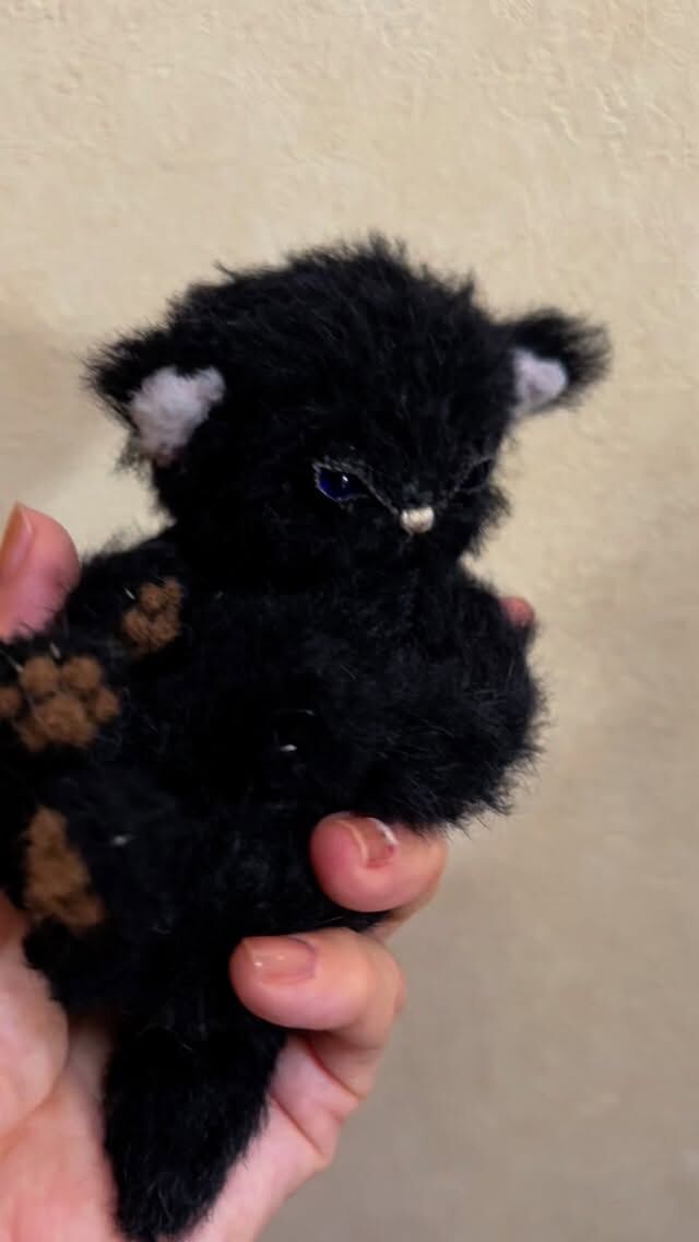 テディキャット - ジェリーベア