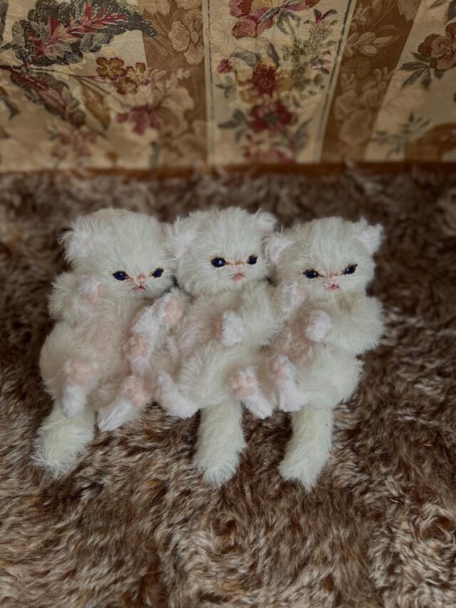 テディキャット - ジェリーベア