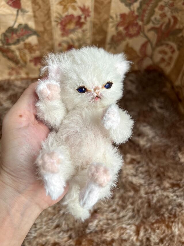 テディキャット - ジェリーベア