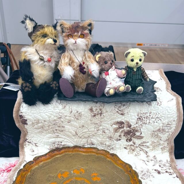 テディキャット - ジェリーベア