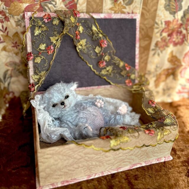 テディキャット - ジェリーベア