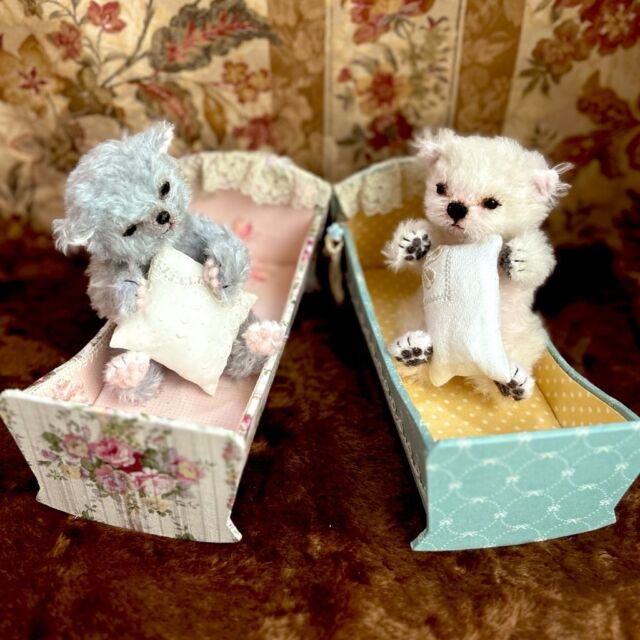 テディキャット - ジェリーベア