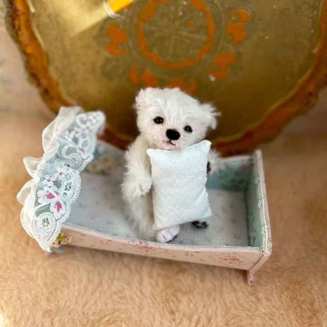 テディキャット - ジェリーベア