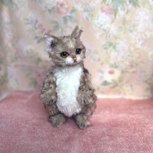 テディキャット - ジェリーベア