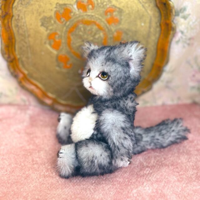 テディキャット - ジェリーベア