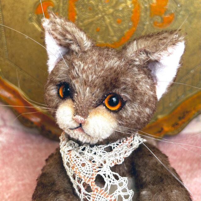 テディキャット - ジェリーベア