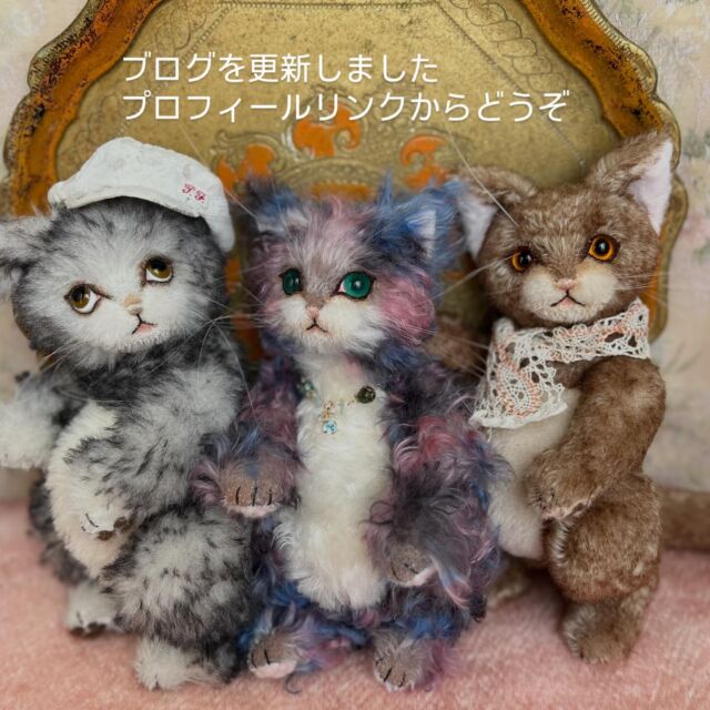 テディキャット - ジェリーベア