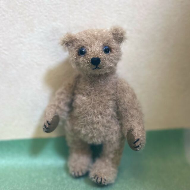 テディキャット - ジェリーベア