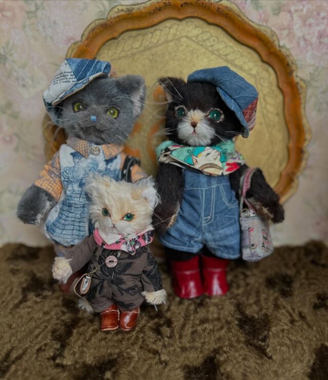ジェリーベア - テディベアと、テディベアタイプのネコを作っています